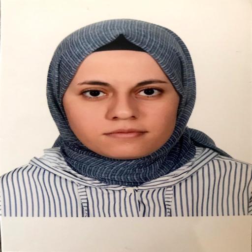 uzmanlar
